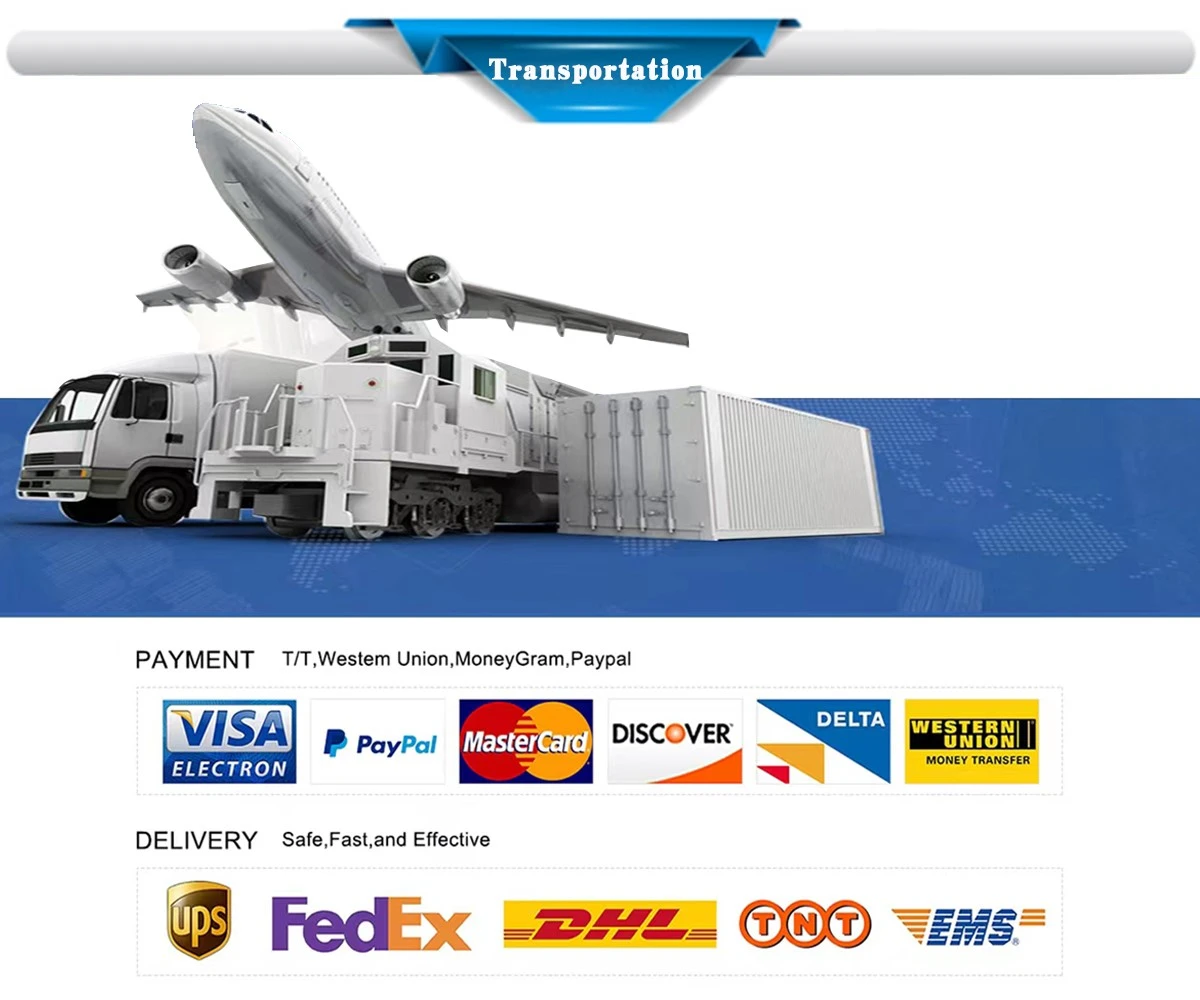 Transportation Transportation